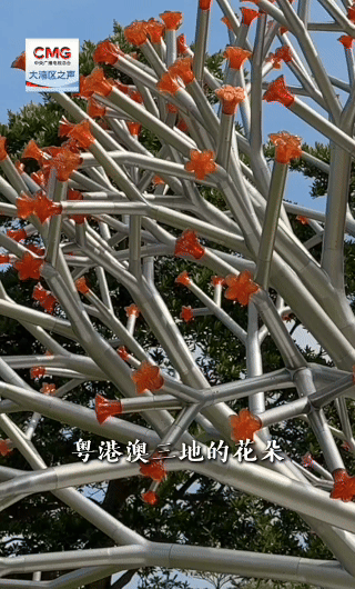 
北京中医药大学东直门医院黄牛代挂号电话票贩子号贩子网上预约挂号,住院检查加快,勇立潮头大湾区丨细节拉满！十五运会开幕式藏满湾区融合彩蛋