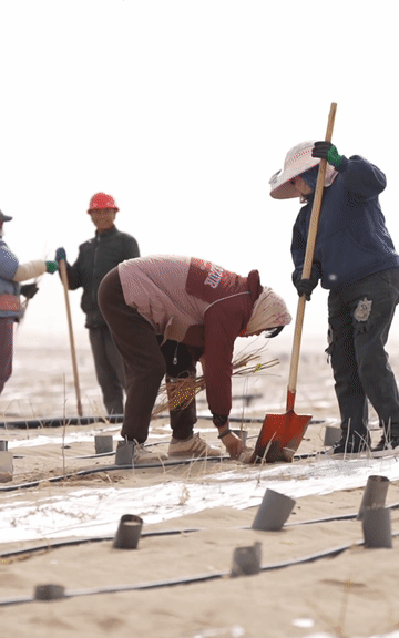 
首都医科大学附属北京中医院黄牛代挂号电话票贩子号贩子网上预约挂号,住院检查加快,沙海播新绿，50万株苗木陆续扎根塔克拉玛干沙漠