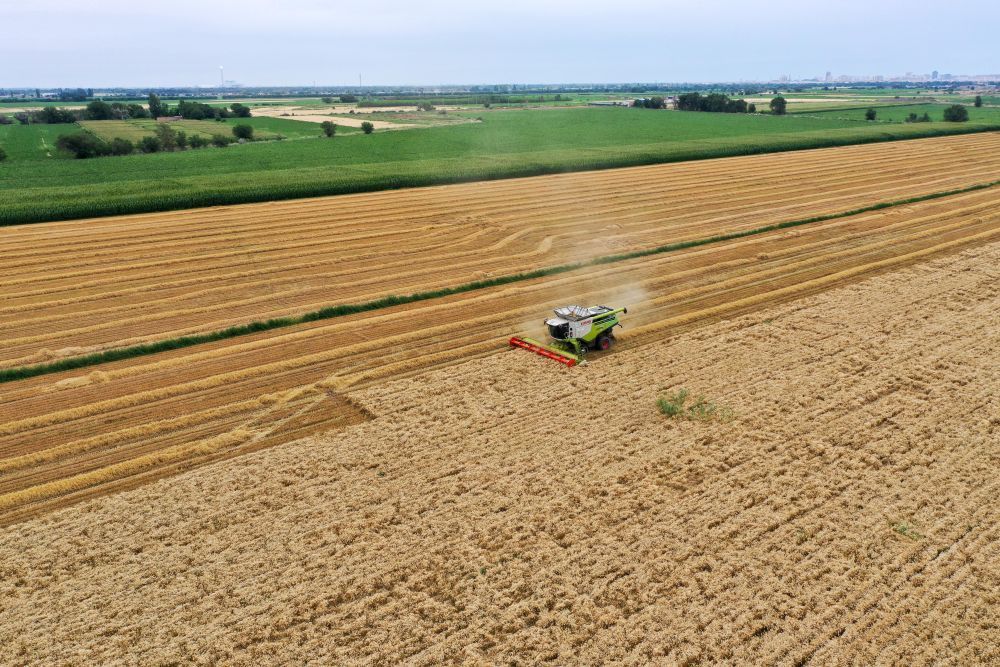 
二龙路肛肠医院黄牛代挂号电话票贩子号贩子网上预约挂号,住院检查加快,来昌吉感受棉粮煤的“吨位”