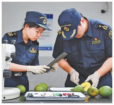 
西安市儿童医院黄牛代挂号电话票贩子号贩子网上预约挂号,住院检查加快,“广阔的中国市场是我们的新机遇”（零关税·促共赢）