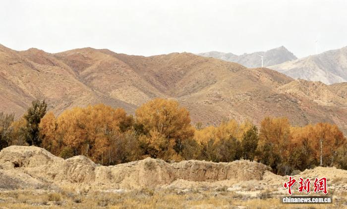 
江苏省中西医结合医院黄牛代挂号电话票贩子号贩子网上预约挂号,住院检查加快,千年轮台的历史回响