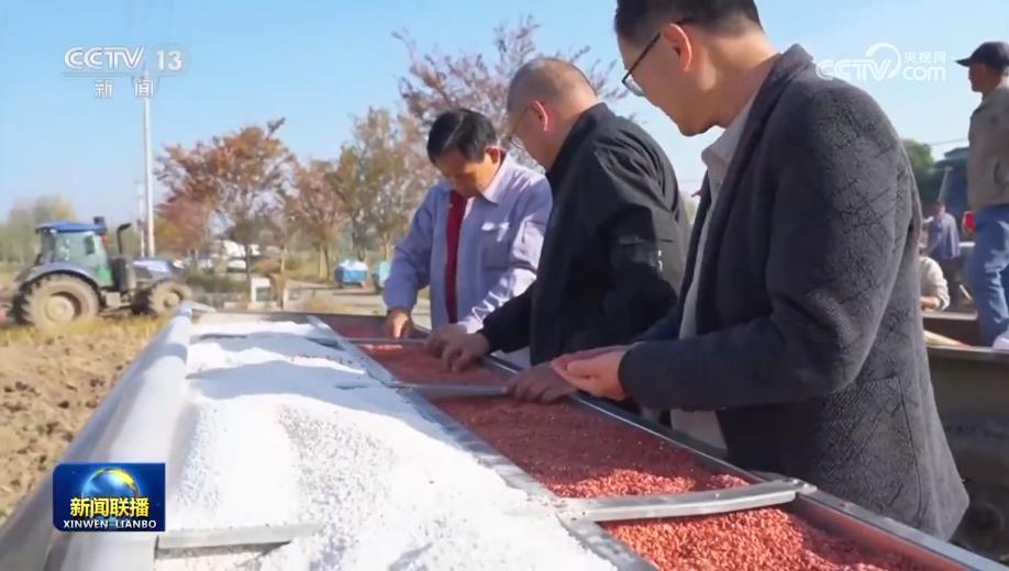 
南京各大医院黄牛代挂号电话票贩子号贩子网上预约挂号,住院检查加快,全国秋冬种加紧推进 冬小麦播种近七成