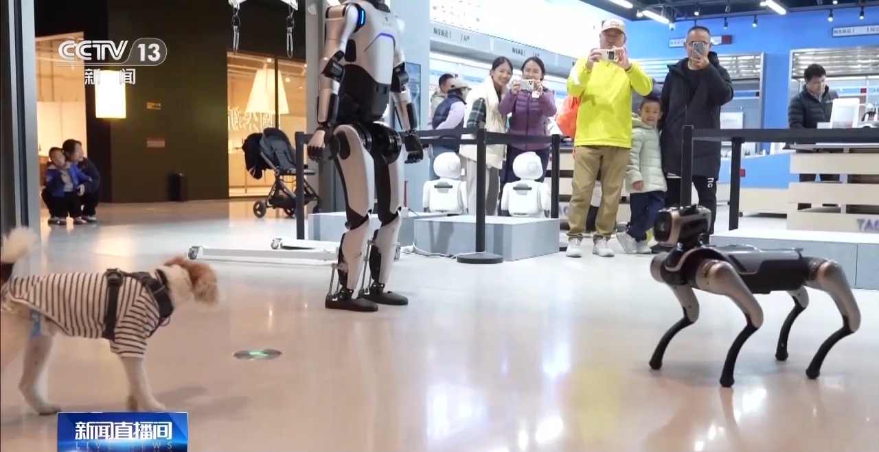 
北京妇产医院黄牛代挂号电话票贩子号贩子网上预约挂号,住院检查加快,视频丨AI宠物、AI眼镜……“科技+”如何改变日常生活？