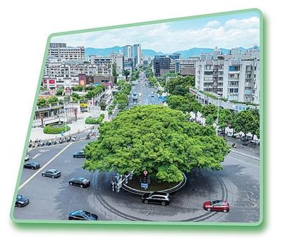 
上海中山医院黄牛代挂号电话票贩子号贩子网上预约挂号,住院检查加快,现代化的城市需要绿来点缀