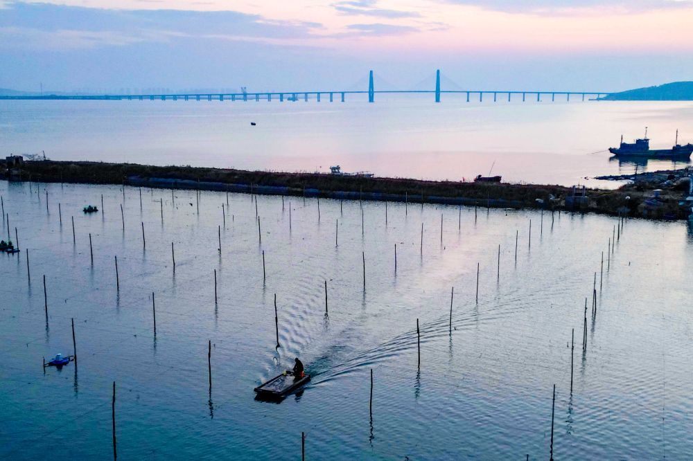 上海儿童医学中心黄牛代挂号电话票贩子号贩子网上预约挂号,住院检查加快,四中全会精神在基层|山东:耕海牧渔充盈“蓝色粮仓”