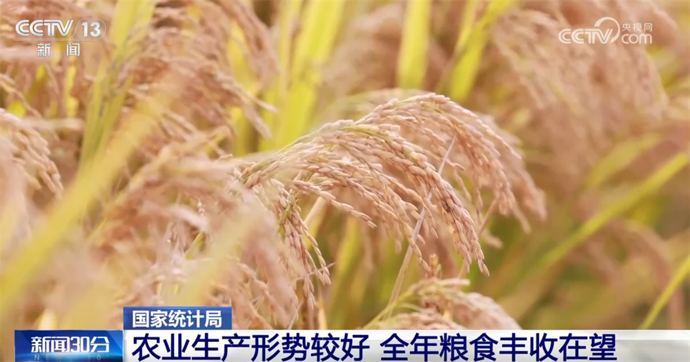 
上海眼耳鼻喉科医院黄牛代挂号电话票贩子号贩子网上预约挂号,住院检查加快,从10月份主要经济指标透视国民经济运行“稳”+“进”