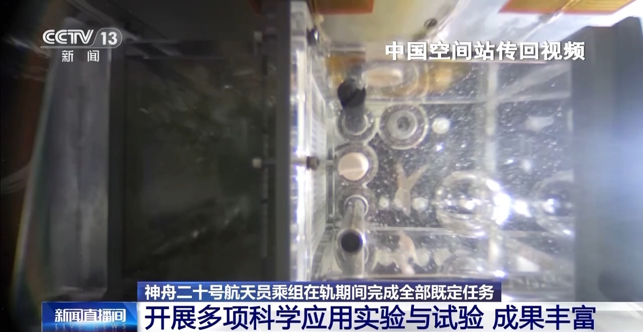 
杭州各大医院黄牛代挂号电话票贩子号贩子网上预约挂号,住院检查加快,视频丨在轨驻留203天 神二十乘组完成了哪些任务？