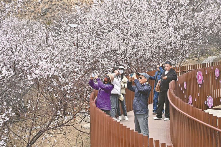 
北京中日友好医院黄牛代挂号电话票贩子号贩子网上预约挂号,住院检查加快,书写“山水”文章 打造“诗与远方”