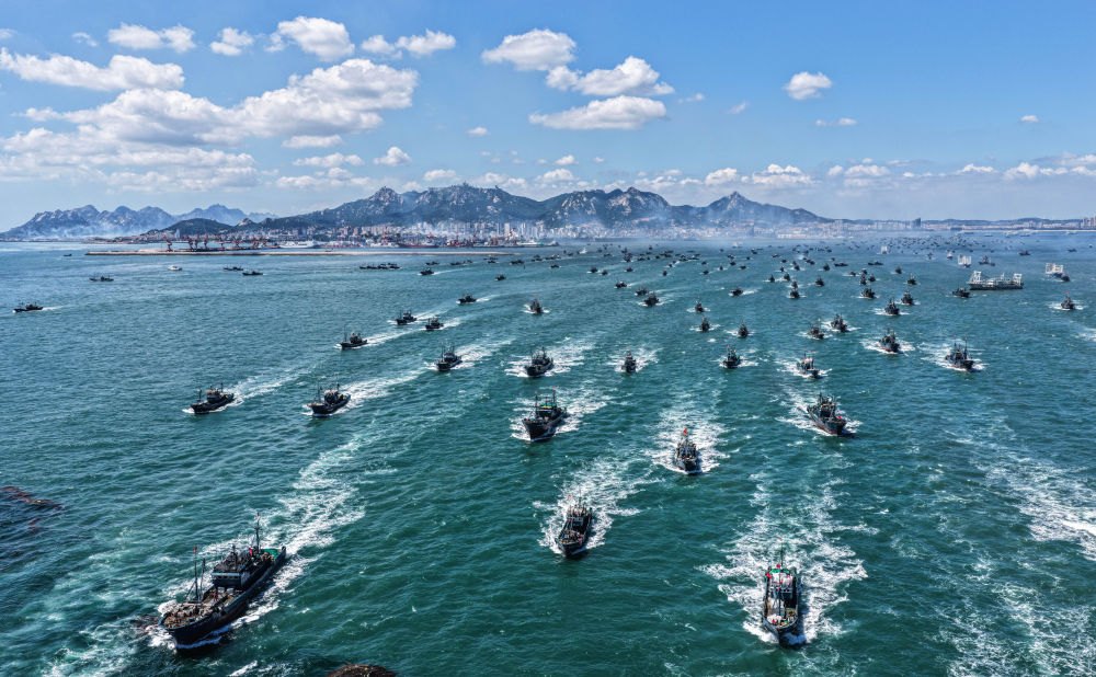 上海儿童医学中心黄牛代挂号电话票贩子号贩子网上预约挂号,住院检查加快,四中全会精神在基层|山东:耕海牧渔充盈“蓝色粮仓”