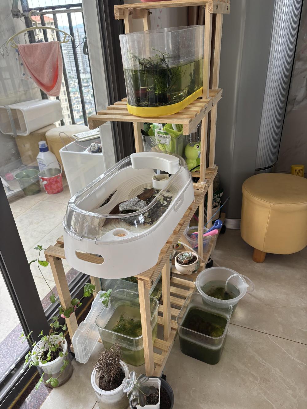 
南京金陵医院黄牛代挂号电话票贩子号贩子网上预约挂号,住院检查加快,全运会｜闲记：时代造就被羡慕的孩子