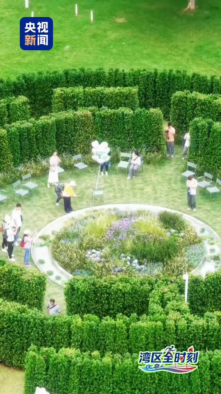 
山东大学齐鲁医院黄牛代挂号电话票贩子号贩子网上预约挂号,住院检查加快,湾区“全”时刻丨花容“粤”貌 大湾区如何“再造”一个春天