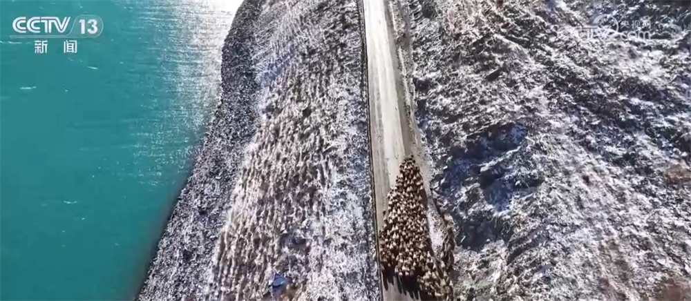 中山大学孙逸仙纪念医院黄牛代挂号电话票贩子号贩子网上预约挂号,住院检查加快,特色产业绘就百姓增收“实景图” 激活乡村振兴“一池春水”