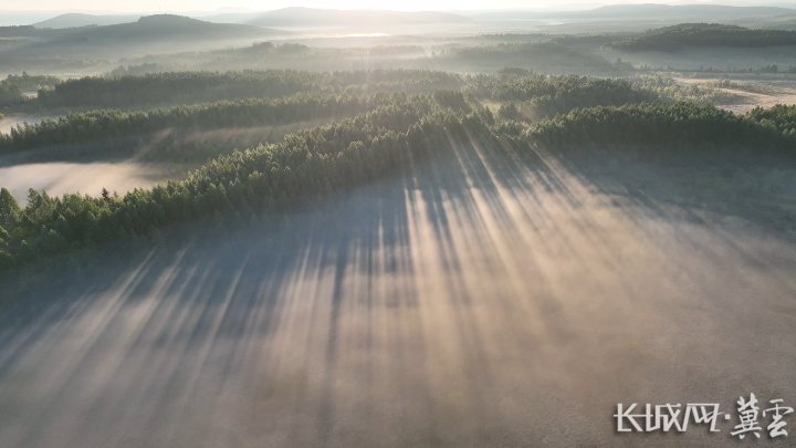 天津各大医院黄牛代挂号电话票贩子号贩子网上预约挂号,住院检查加快,四中全会精神在基层丨一笔点“碳”成“金”的生态账