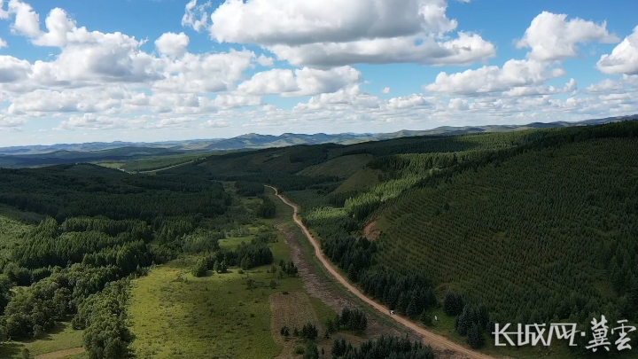 天津各大医院黄牛代挂号电话票贩子号贩子网上预约挂号,住院检查加快,四中全会精神在基层丨一笔点“碳”成“金”的生态账