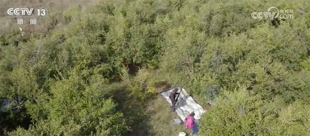 中山大学孙逸仙纪念医院黄牛代挂号电话票贩子号贩子网上预约挂号,住院检查加快,特色产业绘就百姓增收“实景图” 激活乡村振兴“一池春水”