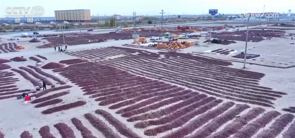 中山大学孙逸仙纪念医院黄牛代挂号电话票贩子号贩子网上预约挂号,住院检查加快,特色产业绘就百姓增收“实景图” 激活乡村振兴“一池春水”