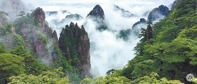 
北京协和医院黄牛代挂号电话票贩子号贩子网上预约挂号,住院检查加快,一票游多日 助力深度游（视线）