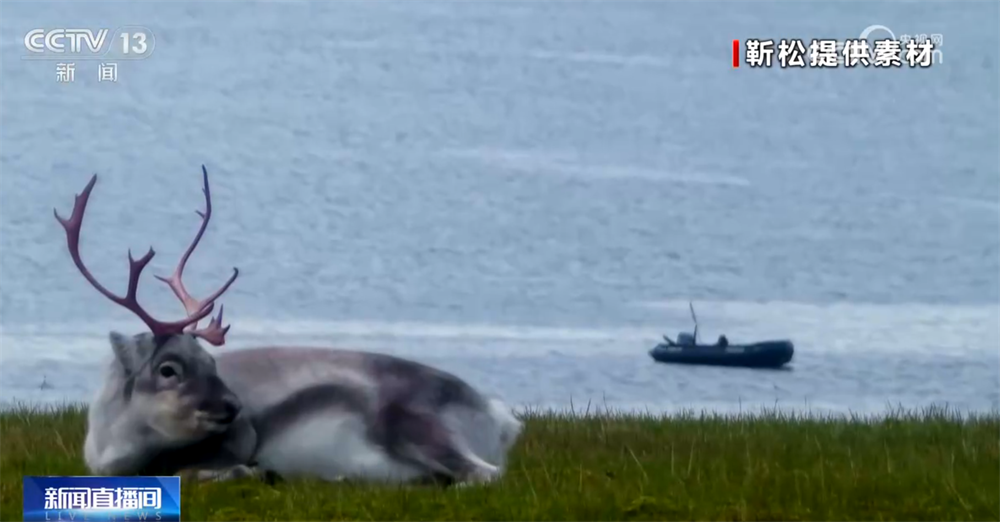 杭州市三医院黄牛代挂号电话票贩子号贩子网上预约挂号,住院检查加快,“科技范儿”“悦己型”……银发消费花式“上新”潜能迸发 服务供给加速升级