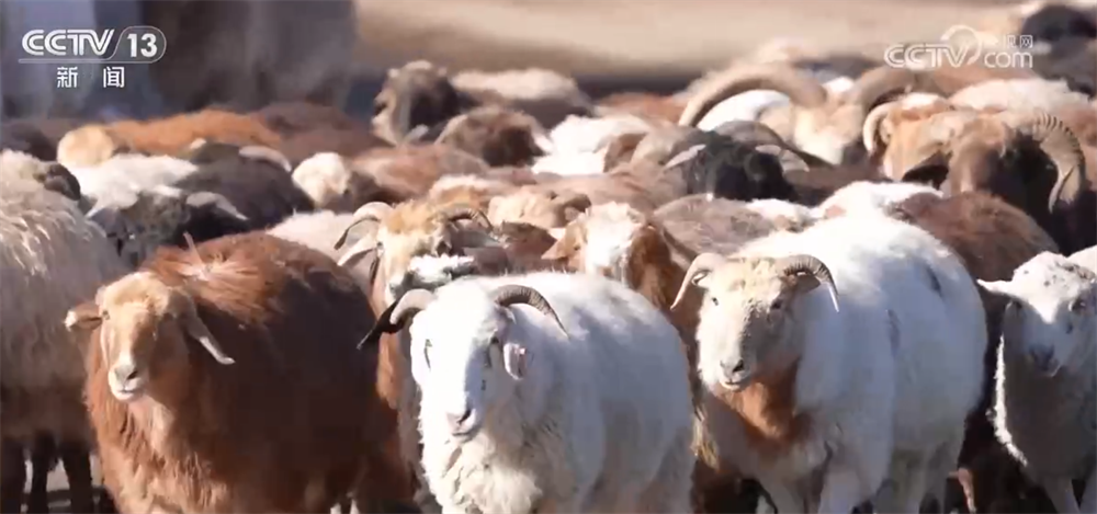 中山大学孙逸仙纪念医院黄牛代挂号电话票贩子号贩子网上预约挂号,住院检查加快,特色产业绘就百姓增收“实景图” 激活乡村振兴“一池春水”