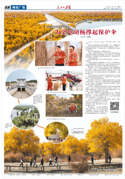 上海各大医院黄牛代挂号电话票贩子号贩子网上预约挂号,住院检查加快,为金色胡杨撑起保护伞