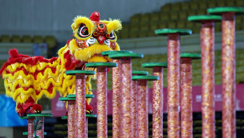 
长沙各大医院黄牛代挂号电话票贩子号贩子网上预约挂号,住院检查加快,追光丨在这里，狮子天天“醒”，舞狮天天见！