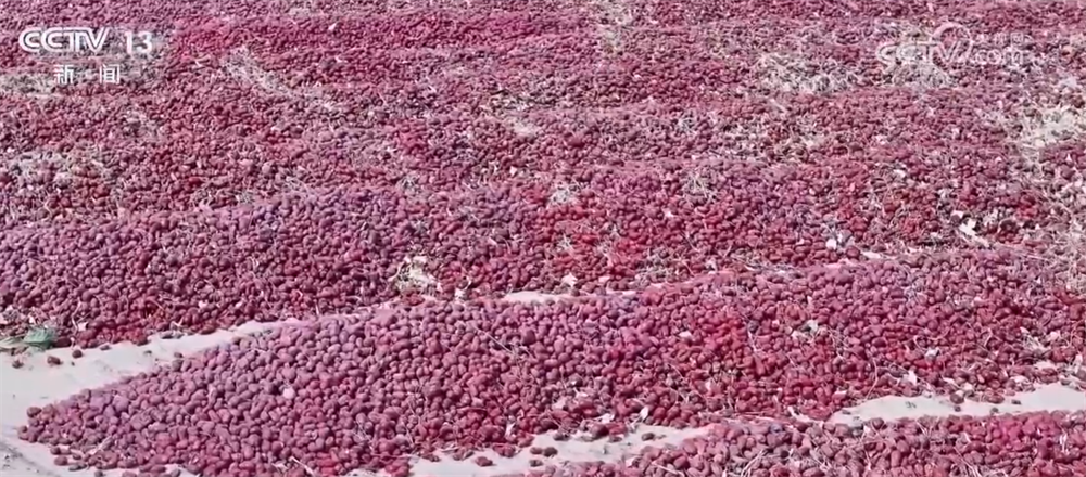 中山大学孙逸仙纪念医院黄牛代挂号电话票贩子号贩子网上预约挂号,住院检查加快,特色产业绘就百姓增收“实景图” 激活乡村振兴“一池春水”