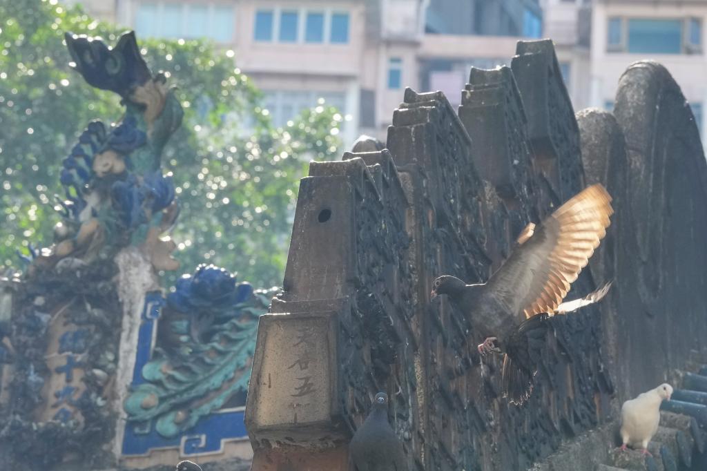 
东部战区总医院黄牛代挂号电话票贩子号贩子网上预约挂号,住院检查加快,全运·文化 | 开幕式上那条“大鱼”是何来历你知道吗