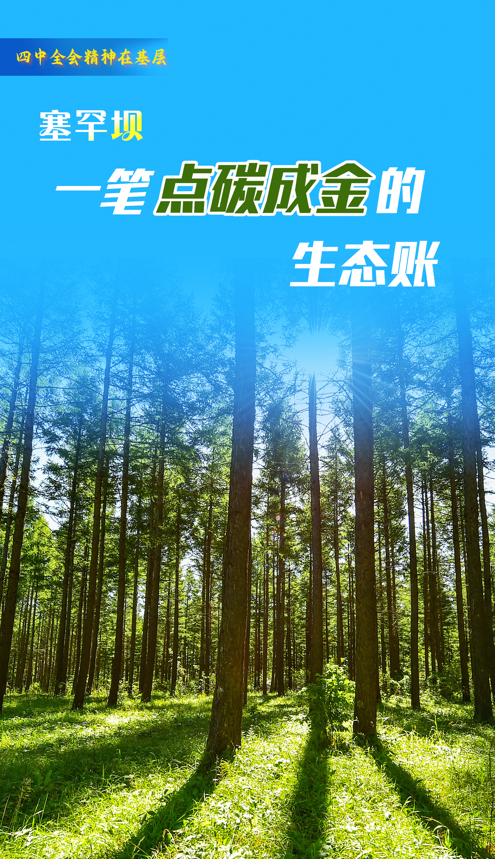 
天津各大医院黄牛代挂号电话票贩子号贩子网上预约挂号,住院检查加快,四中全会精神在基层丨一笔点“碳”成“金”的生态账