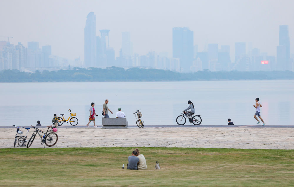 
上海龙华医院黄牛代挂号电话票贩子号贩子网上预约挂号,住院检查加快,追光｜42.195公里，连接了多少“大湾区奇迹”？