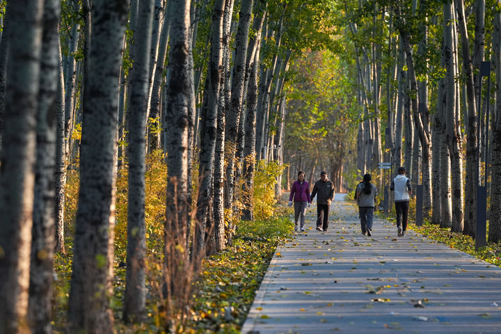 
北京301医院黄牛代挂号电话票贩子号贩子网上预约挂号,住院检查加快,一张蓝图何以绘到底——北京以规划引领超大城市治理的启示