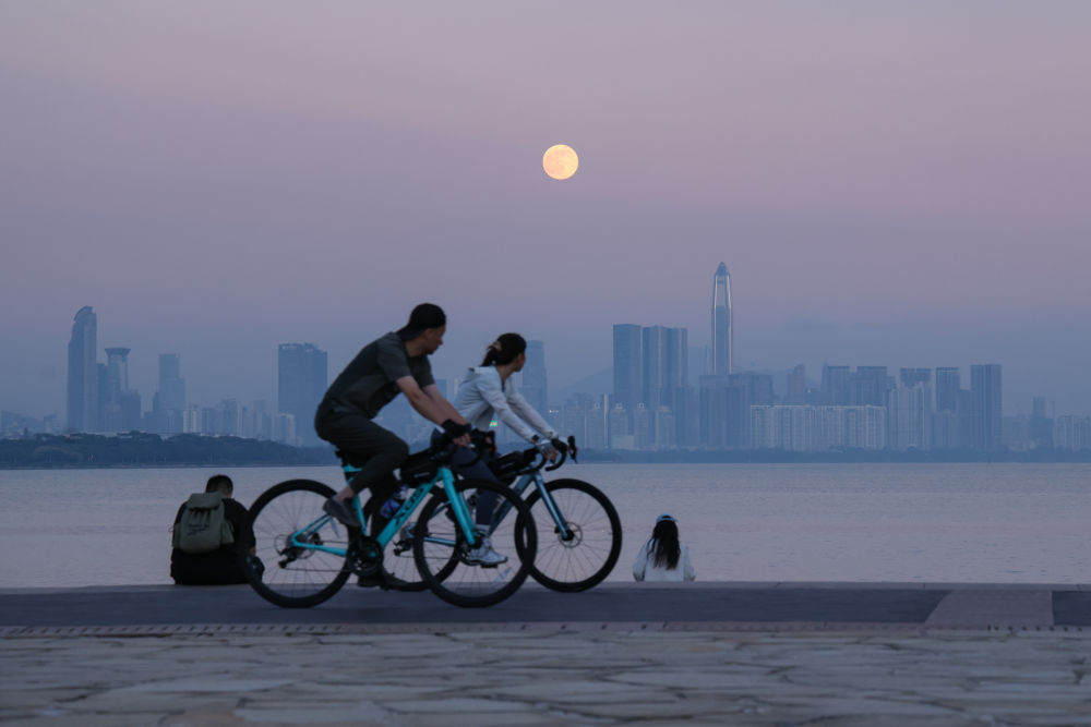 
上海龙华医院黄牛代挂号电话票贩子号贩子网上预约挂号,住院检查加快,追光｜42.195公里，连接了多少“大湾区奇迹”？