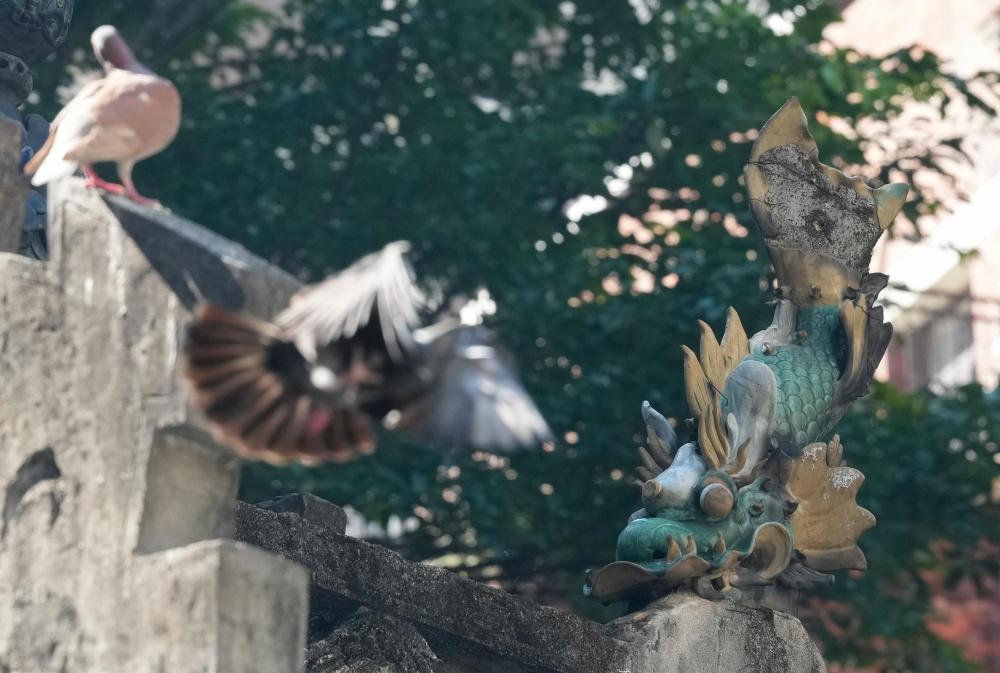 
南京儿童医院黄牛代挂号电话票贩子号贩子网上预约挂号,住院检查加快,全运半程回顾｜有坚持、有热爱、还有共同的未来与期待