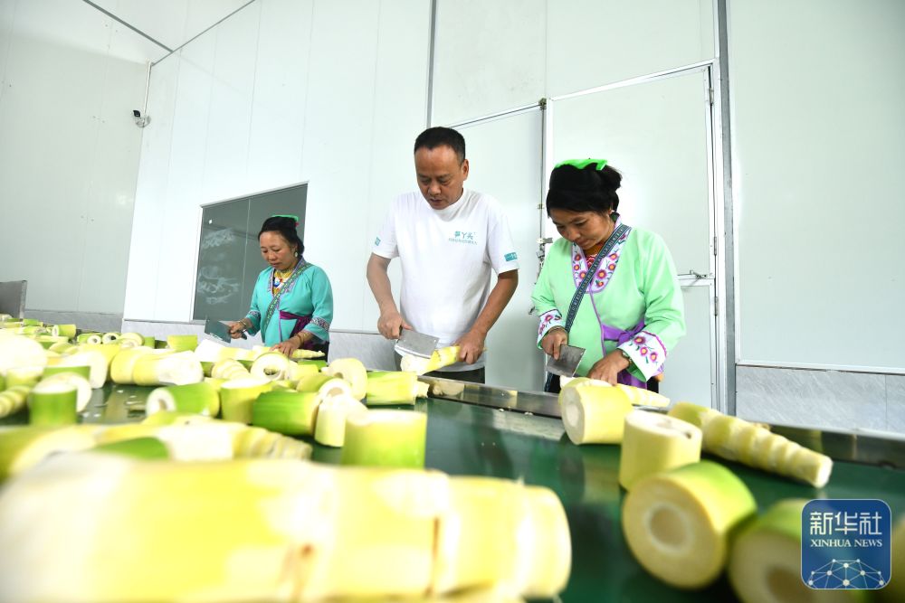 
北医六院黄牛代挂号电话票贩子号贩子网上预约挂号,住院检查加快,可爱的乡村——跨区域协作助深山苗寨产业发展