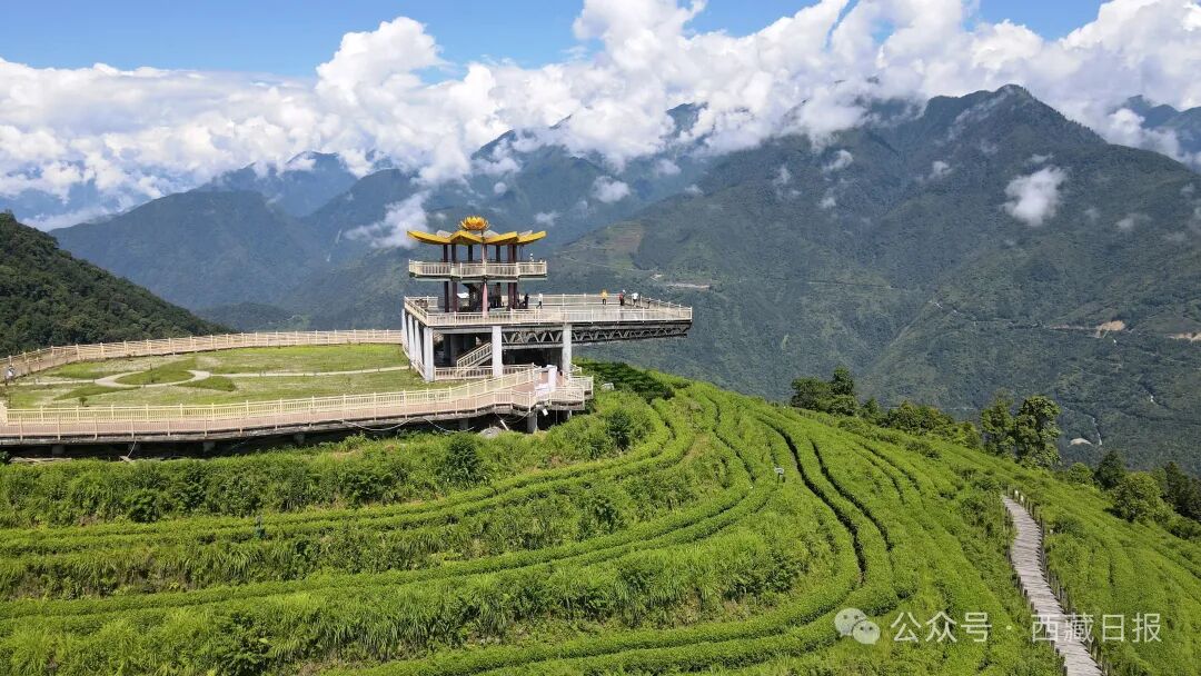 
浙江大学儿童医院黄牛代挂号电话票贩子号贩子网上预约挂号,住院检查加快,113000000元！墨脱真棒！
