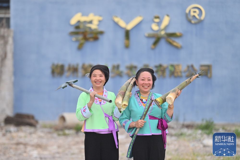 
北医六院黄牛代挂号电话票贩子号贩子网上预约挂号,住院检查加快,可爱的乡村——跨区域协作助深山苗寨产业发展