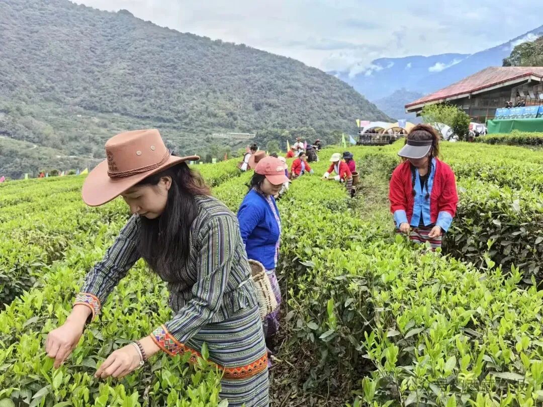 
浙江大学儿童医院黄牛代挂号电话票贩子号贩子网上预约挂号,住院检查加快,113000000元！墨脱真棒！