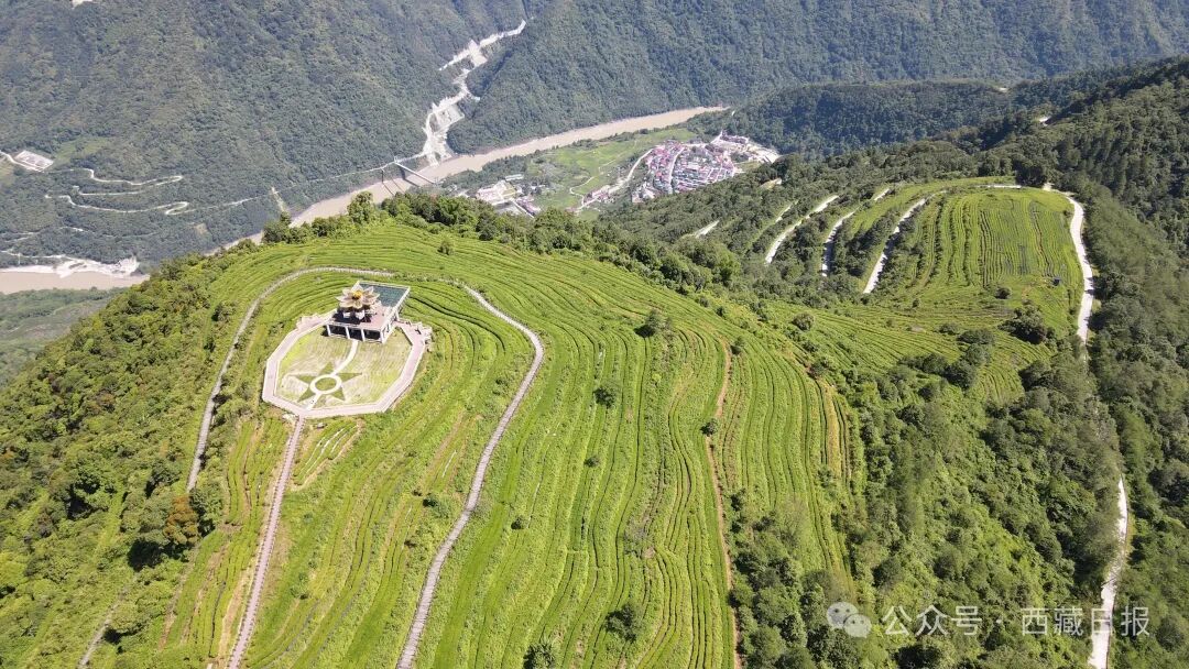 
浙江大学儿童医院黄牛代挂号电话票贩子号贩子网上预约挂号,住院检查加快,113000000元！墨脱真棒！