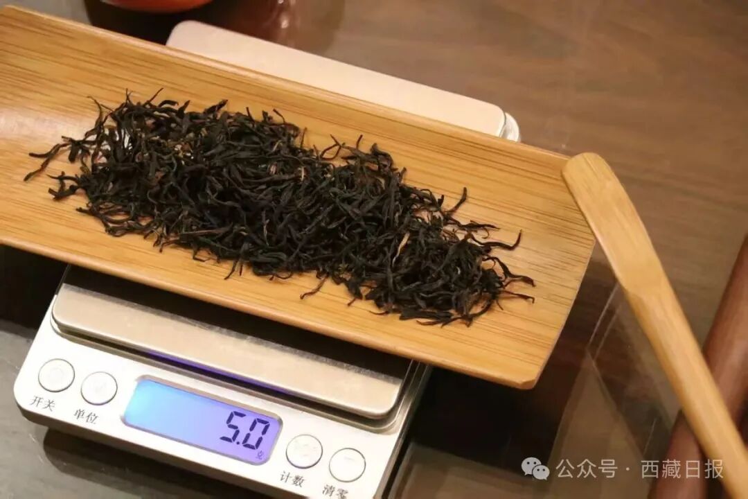 
浙江大学儿童医院黄牛代挂号电话票贩子号贩子网上预约挂号,住院检查加快,113000000元！墨脱真棒！