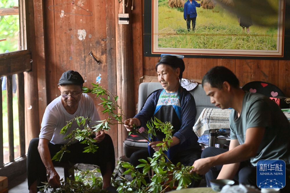
北医六院黄牛代挂号电话票贩子号贩子网上预约挂号,住院检查加快,可爱的乡村——跨区域协作助深山苗寨产业发展