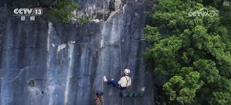 上海新华医院黄牛代挂号电话票贩子号贩子网上预约挂号,住院检查加快,超4亿人,体育市场呈现亮点!借助大数据“数”看户外运动“火”出新高度