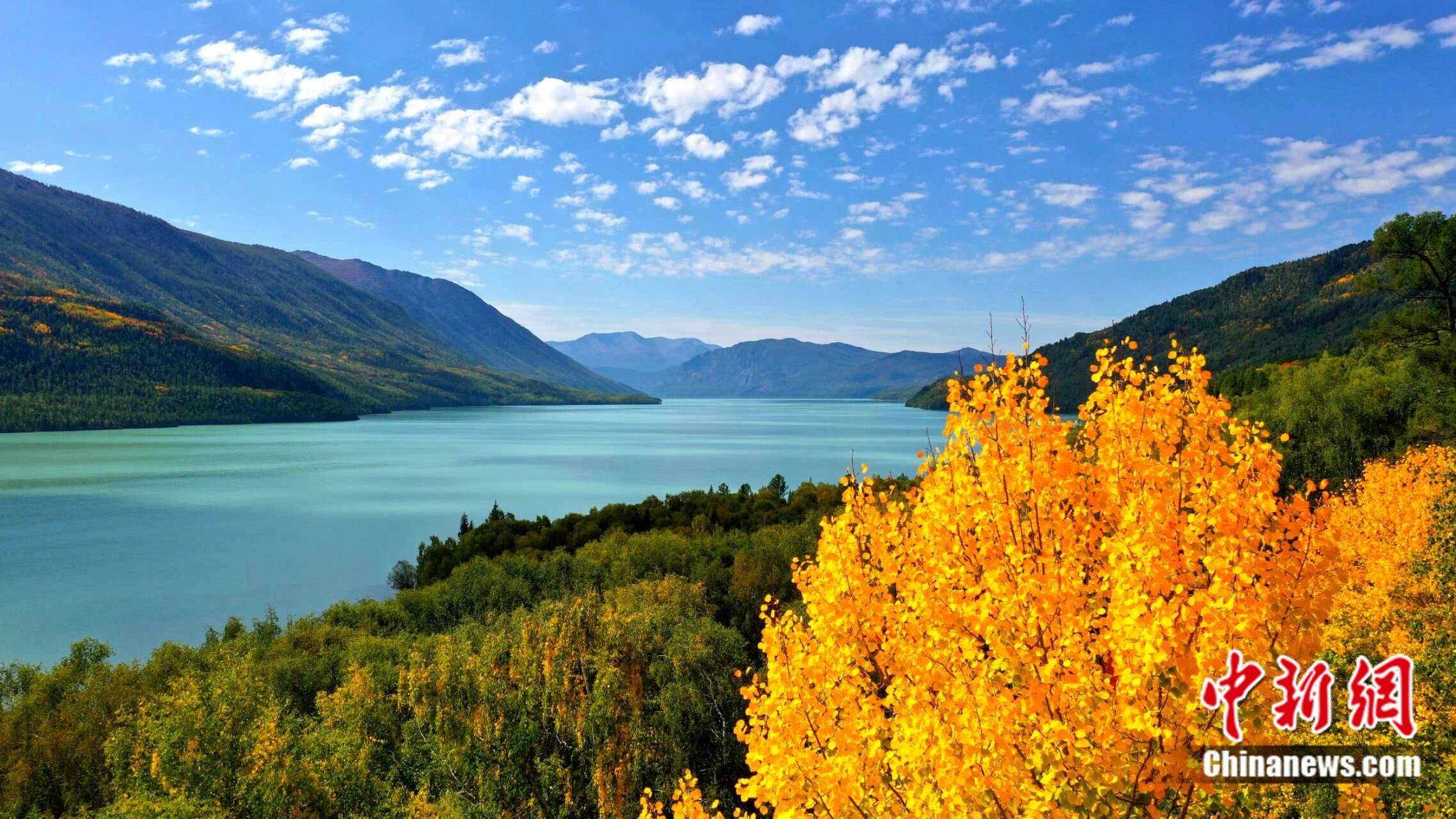 
杭州市三医院黄牛代挂号电话票贩子号贩子网上预约挂号,住院检查加快,这座7万人口的县城即将涌入80万人，只为一项运动……