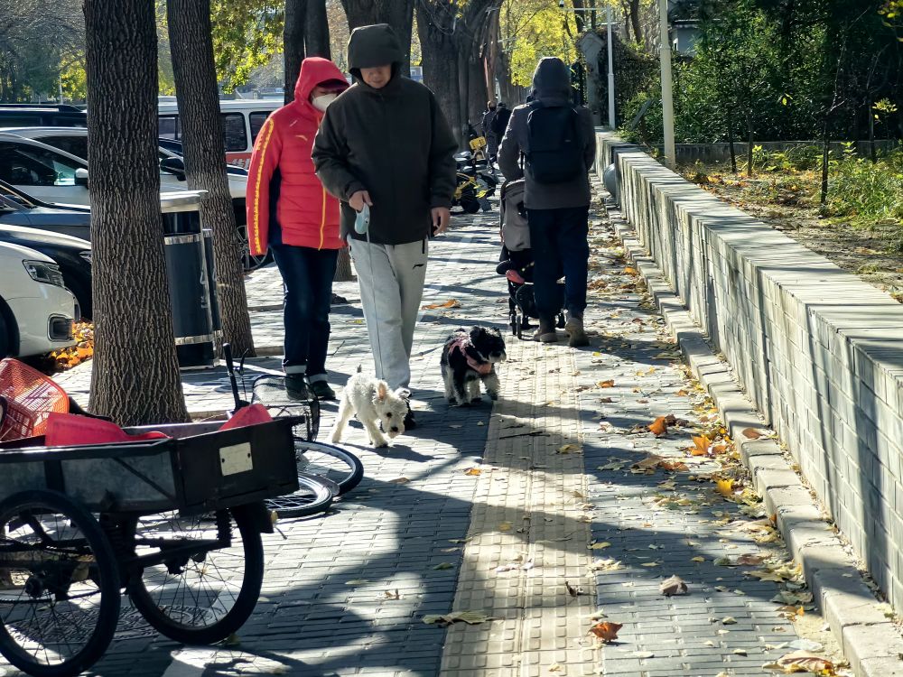 
长春吉大二院黄牛代挂号电话票贩子号贩子网上预约挂号,住院检查加快,寒潮来袭、大风呼啸，如何应对？