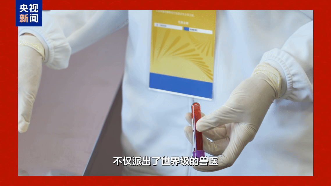 江苏省肿瘤医院黄牛代挂号电话票贩子号贩子网上预约挂号,住院检查加快,志愿者Vlog丨“马”上有戏!香港“小海豚”解锁湾区融合新姿势