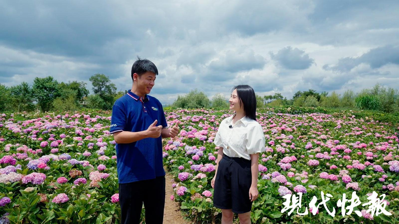 
北京安贞医院黄牛代挂号电话票贩子号贩子网上预约挂号,住院检查加快,改革者 正青春｜一朵鲜花如何“链接”全球市场？