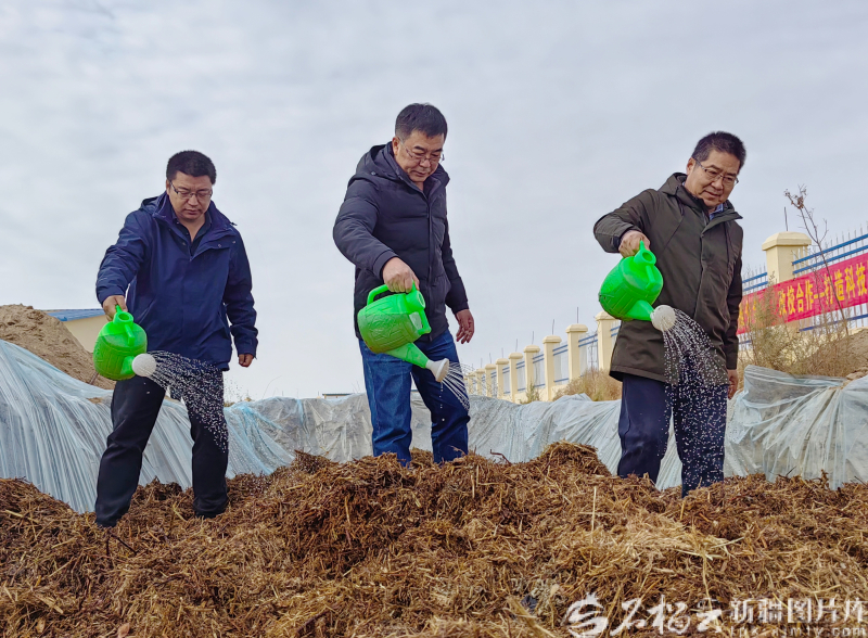 
广州各大医院黄牛代挂号电话票贩子号贩子网上预约挂号,住院检查加快,新疆棉秆如何点“草”成金