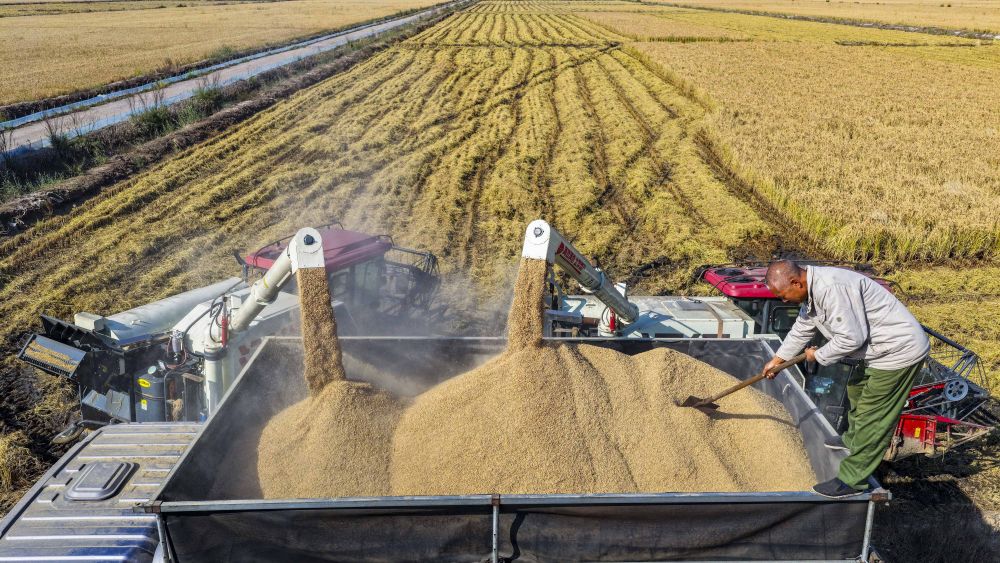 
北京中医院黄牛代挂号电话票贩子号贩子网上预约挂号,住院检查加快,权威解读｜从10月数据看中国经济增长点