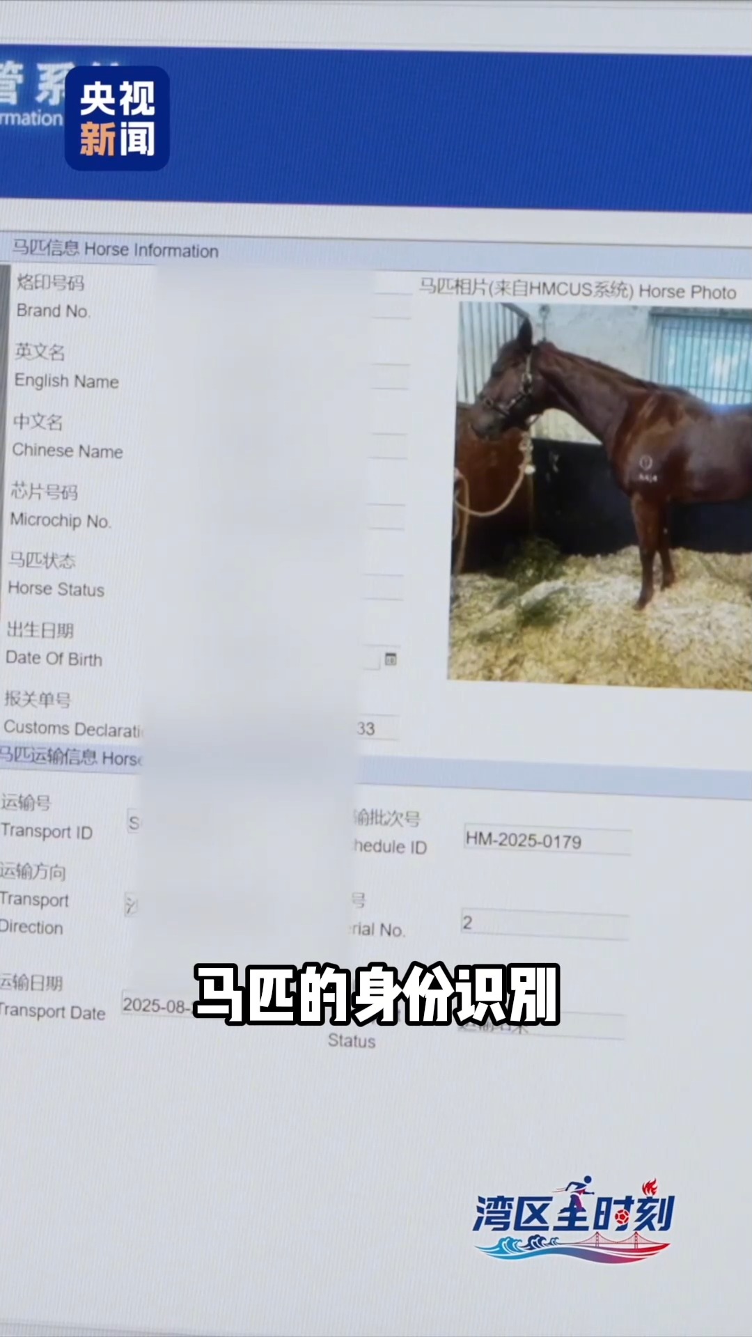 
上海瑞金医院黄牛代挂号电话票贩子号贩子网上预约挂号,住院检查加快,湾区“全”时刻丨在大湾区 马为啥越跑越快？