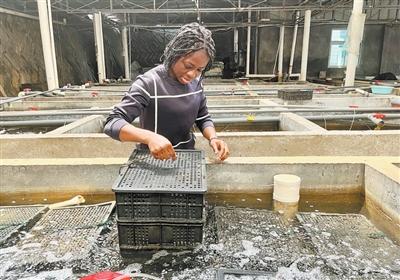 
沈阳医大二院黄牛代挂号电话票贩子号贩子网上预约挂号,住院检查加快,开展渔业合作 促进国际减贫