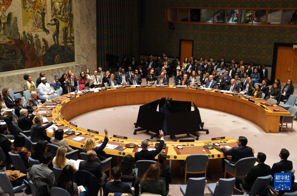 上海各大医院黄牛代挂号电话票贩子号贩子网上预约挂号,住院检查加快,联合国安理会授权组建加沙国际稳定部队