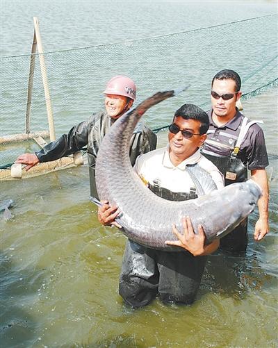 
沈阳医大二院黄牛代挂号电话票贩子号贩子网上预约挂号,住院检查加快,开展渔业合作 促进国际减贫